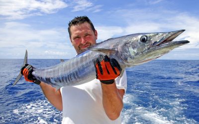 Essential Destin Swordfishing techniques every USA angler should know before heading out